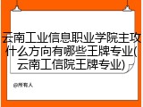 云南工业信息职业学院主攻什么方向有哪些王牌专业(云南工信院王牌专业)
