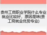 贵州工商职业学院什么专业就业比较好，原因是啥(贵工商就业优势专业)
