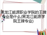 黑龙江能源职业学院的王牌专业是什么(黑龙江能源学院王牌专业)