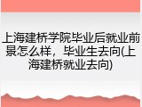 上海建桥学院毕业后就业前景怎么样，毕业生去向(上海建桥就业去向)