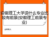 安徽理工大学读什么专业比较有前景(安徽理工前景专业)