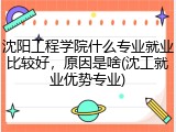 沈阳工程学院什么专业就业比较好，原因是啥(沈工就业优势专业)
