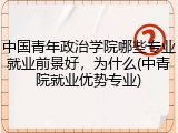 中国青年政治学院哪些专业就业前景好，为什么(中青院就业优势专业)