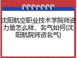 沈阳航空职业技术学院师资力量怎么样，名气如何(沈阳航院师资名气)