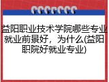 益阳职业技术学院哪些专业就业前景好，为什么(益阳职院好就业专业)