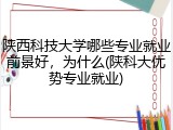 陕西科技大学哪些专业就业前景好，为什么(陕科大优势专业就业)