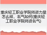 重庆轻工职业学院师资力量怎么样，名气如何(重庆轻工职业学院师资名气)
