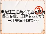 黑龙江三江美术职业学院有哪些专业，王牌专业分析(三江美院王牌专业)