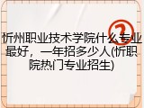 忻州职业技术学院什么专业最好，一年招多少人(忻职院热门专业招生)