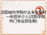 沈阳城市学院什么专业最好，一年招多少人(沈阳学院热门专业招生数)