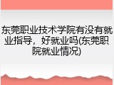 东莞职业技术学院有没有就业指导，好就业吗(东莞职院就业情况)