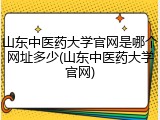 山东中医药大学官网是哪个网址多少(山东中医药大学官网)