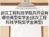 武汉工程科技学院共开设有哪些类型奖学金(武汉工程科技学院奖学金类型)