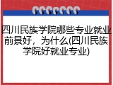 四川民族学院哪些专业就业前景好，为什么(四川民族学院好就业专业)