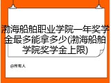 渤海船舶职业学院一年奖学金最多能拿多少(渤海船舶学院奖学金上限)