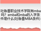 吐鲁番职业技术学院有mba吗？emba和mba的入学条件是什么(吐鲁番MBA条件)