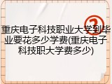 重庆电子科技职业大学到毕业要花多少学费(重庆电子科技职大学费多少)