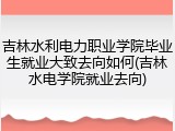 吉林水利电力职业学院毕业生就业大致去向如何(吉林水电学院就业去向)