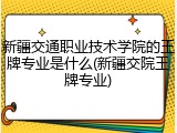 新疆交通职业技术学院的王牌专业是什么(新疆交院王牌专业)