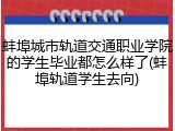 蚌埠城市轨道交通职业学院的学生毕业都怎么样了(蚌埠轨道学生去向)