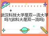 武汉科技大学是双一流大学吗?(武科大是双一流吗)