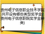 贵州电子信息职业技术学院共开设有哪些类型奖学金(贵州电子信息职院奖学金种类)