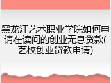 黑龙江艺术职业学院如何申请在读间的创业无息贷款(艺校创业贷款申请)