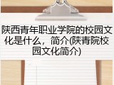 陕西青年职业学院的校园文化是什么，简介(陕青院校园文化简介)