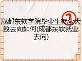 成都东软学院毕业生就业大致去向如何(成都东软就业去向)