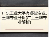 广东工业大学有哪些专业，王牌专业分析(广工王牌专业解析)