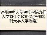 锦州医科大学医疗学院办理入学有什么攻略没(锦州医科大学入学攻略)