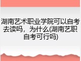 湖南艺术职业学院可以自考去读吗，为什么(湖南艺职自考可行吗)