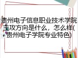 贵州电子信息职业技术学院主攻方向是什么，怎么样(贵州电子学院专业特色)