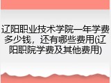 辽阳职业技术学院一年学费多少钱，还有哪些费用(辽阳职院学费及其他费用)