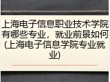 上海电子信息职业技术学院有哪些专业，就业前景如何(上海电子信息学院专业就业)