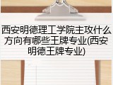 西安明德理工学院主攻什么方向有哪些王牌专业(西安明德王牌专业)