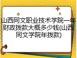 山西同文职业技术学院一年财政拨款大概多少钱(山西同文学院年拨款)