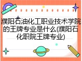 濮阳石油化工职业技术学院的王牌专业是什么(濮阳石化职院王牌专业)