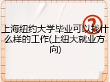 上海纽约大学毕业可以找什么样的工作(上纽大就业方向)