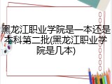 黑龙江职业学院是一本还是本科第二批(黑龙江职业学院是几本)