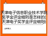 天津电子信息职业技术学院奖学金评定细则是怎样的(天津电子奖学金评定细则)