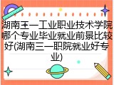 湖南三一工业职业技术学院哪个专业毕业就业前景比较好(湖南三一职院就业好专业)