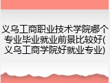 义乌工商职业技术学院哪个专业毕业就业前景比较好(义乌工商学院好就业专业)