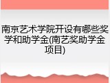 南京艺术学院开设有哪些奖学和助学金(南艺奖助学金项目)