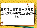 黑龙江商业职业学院是双一流大学吗?(黑龙江商院双一流？)