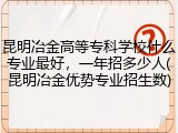 昆明冶金高等专科学校什么专业最好，一年招多少人(昆明冶金优势专业招生数)