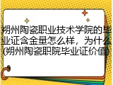 朔州陶瓷职业技术学院的毕业证含金量怎么样，为什么(朔州陶瓷职院毕业证价值)