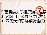 广西民族大学相思湖学院是什么级别，公办还是民办(广西民大相思湖学院性质)