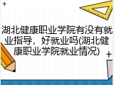 湖北健康职业学院有没有就业指导，好就业吗(湖北健康职业学院就业情况)