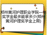 郑州黄河护理职业学院一年奖学金最多能拿多少(郑州黄河护理奖学金上限)